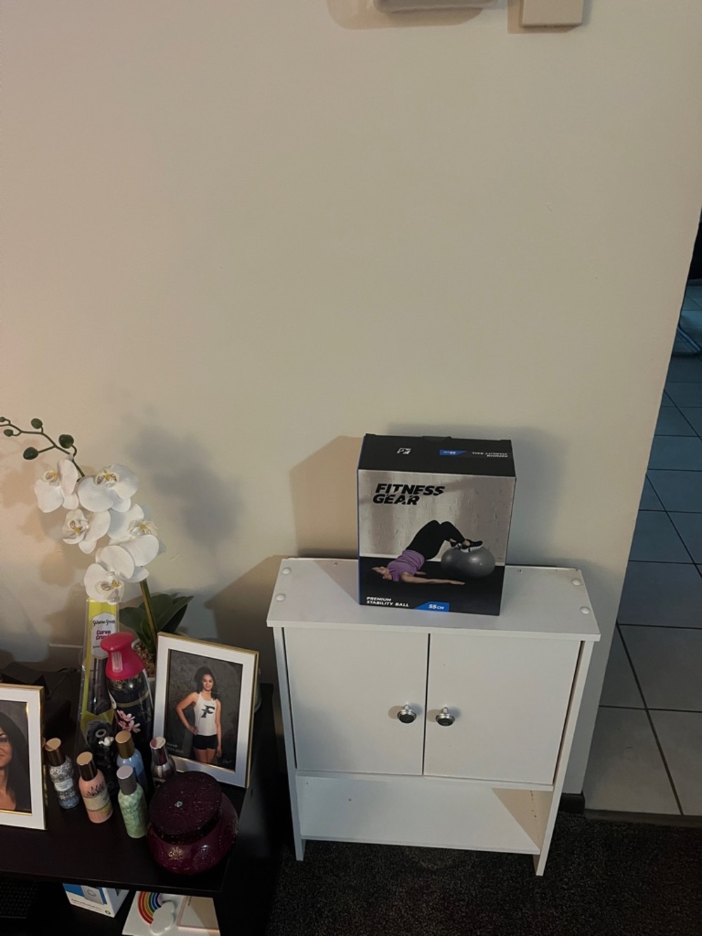 Fitness Gear Exercise Ball